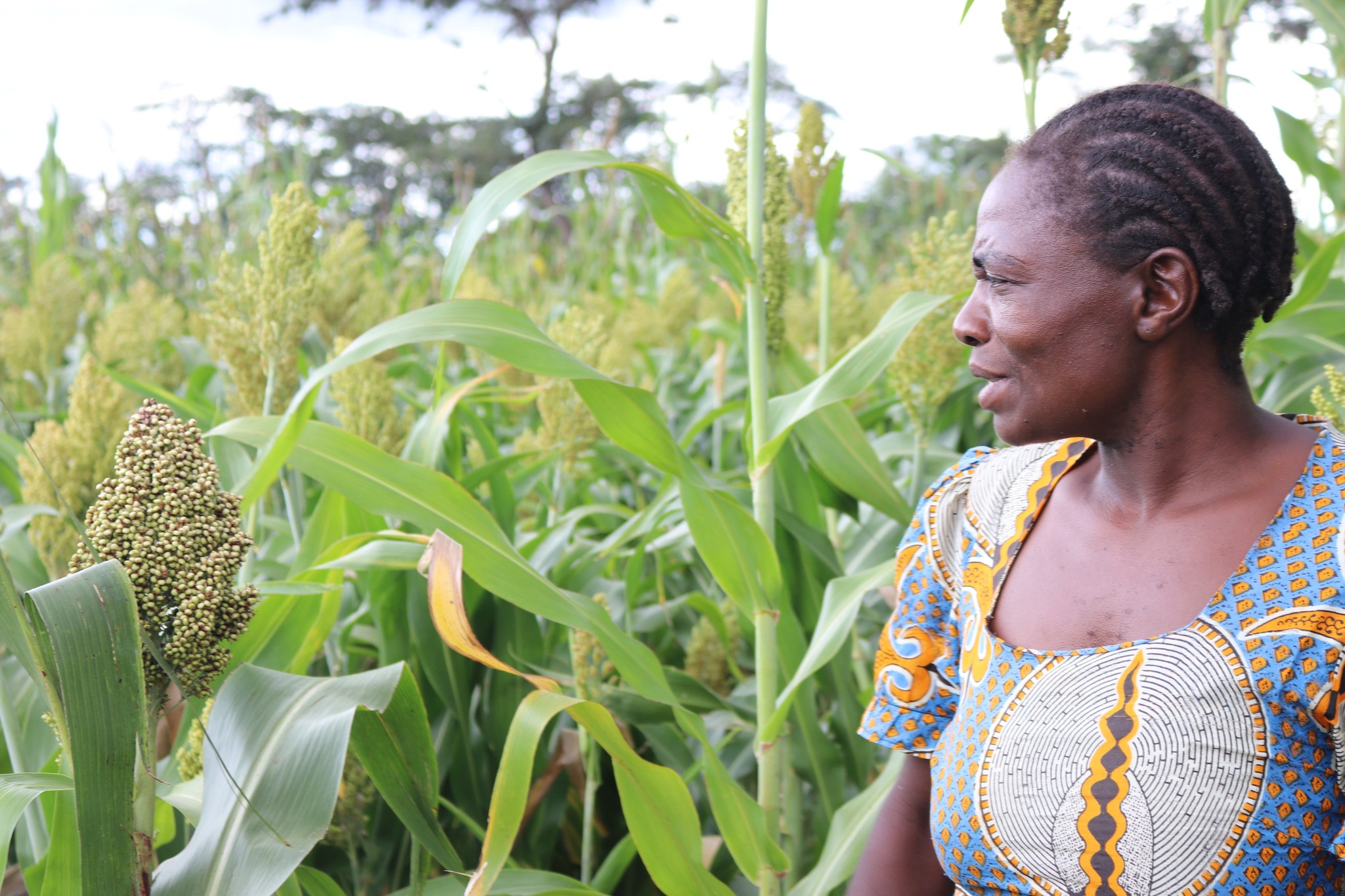 Kvinde på mark i Zimbabwe