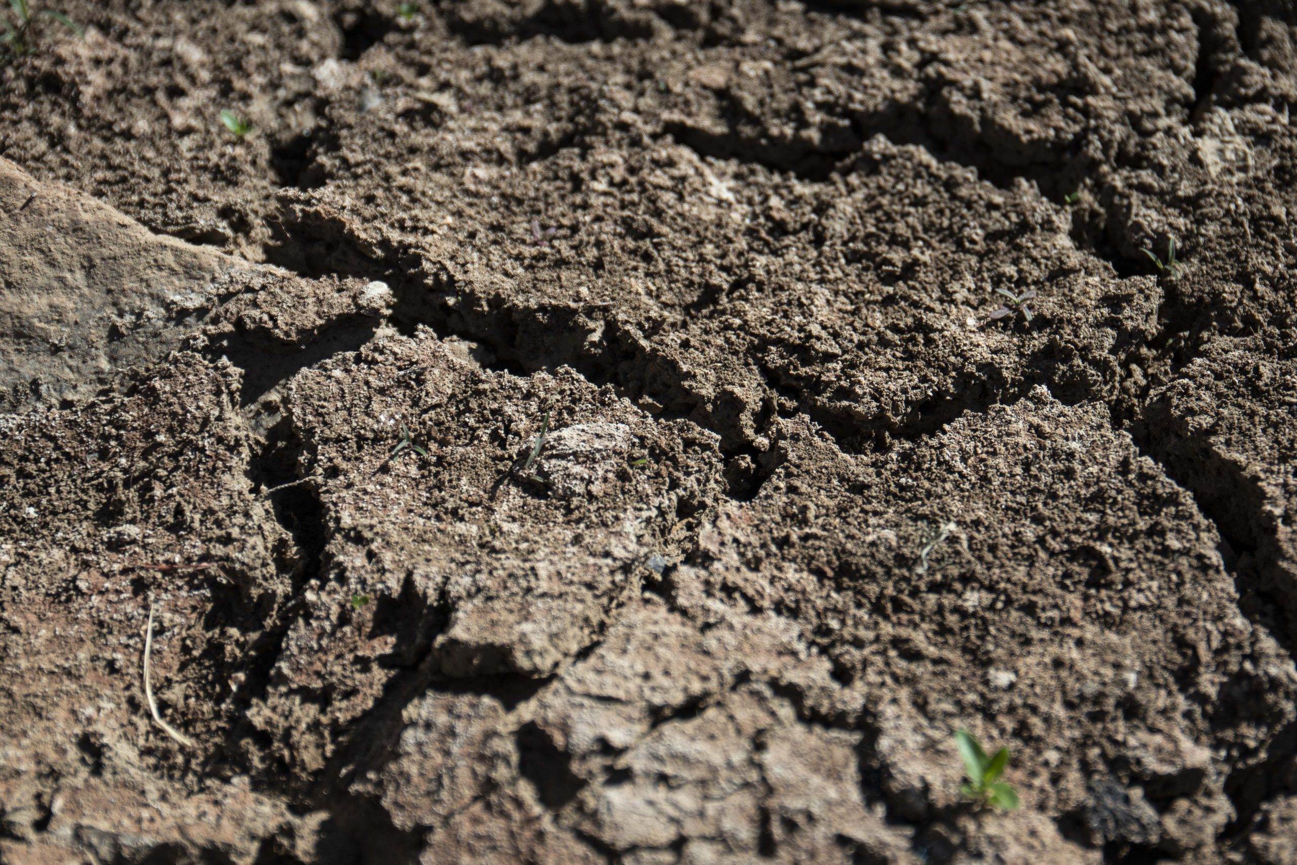 Udtørret flod i Zimbabwe