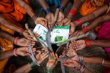 Kvindelige bønder i Nepal viser såsæd frem