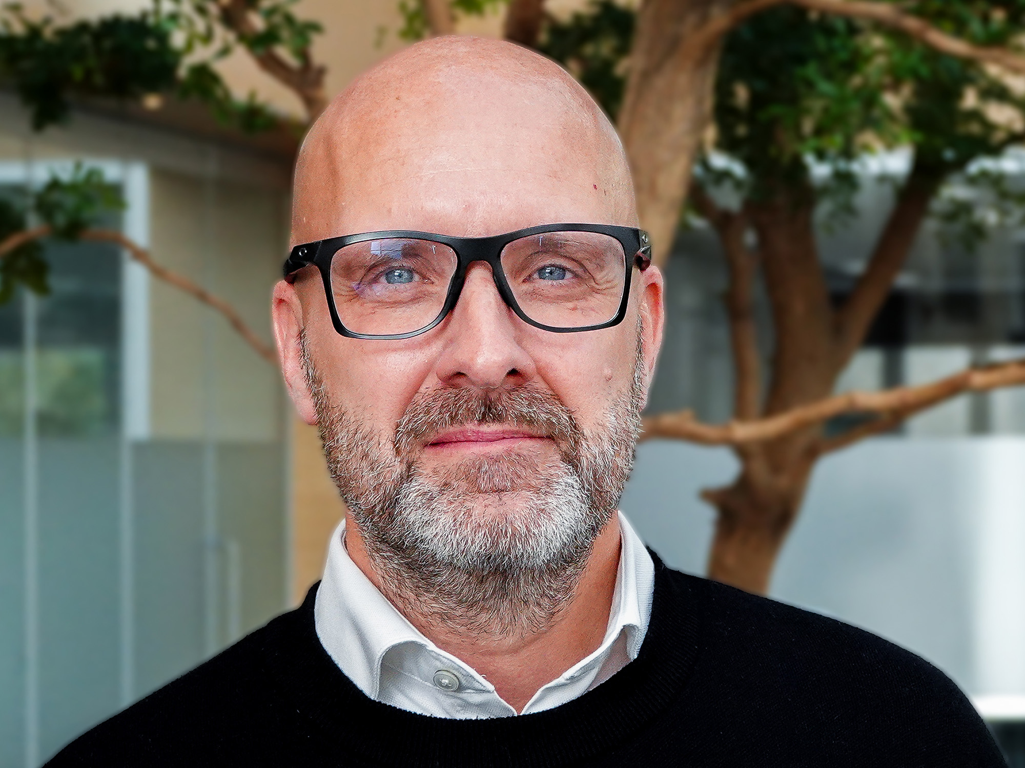 Jesper Brix, Chef for Børnskyttelse af Børn i Kriser